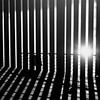 Seeking The Lines van Aimelle ML
