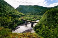 Verlassene Eisenbahnbrücke in den Bergen. von Roman Robroek Miniaturansicht