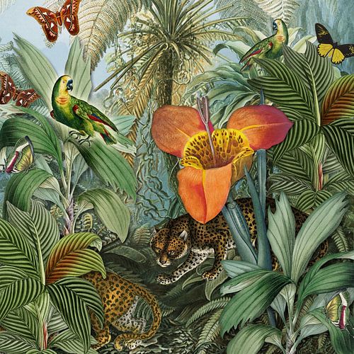 De grote tijgerlelie