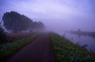 Mistige ochtend in het Leekstermeergebied Groningen par Hessel de Jong Aperçu