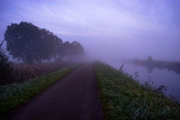 Mistige ochtend in het Leekstermeergebied Groningen van Hessel de Jong