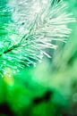 Een twijg van een spar, vol met waterdruppels, abstract uitgevoerd met groene en lichtblauwe kleuren van Robert Wiggers thumbnail
