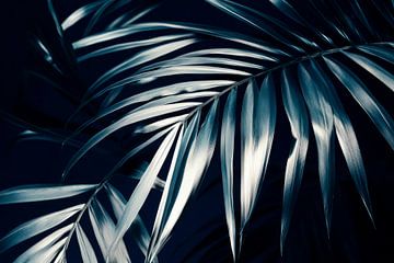 Palm leaves night by Poster Art Shop