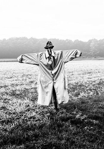 Schwarz-Weiß-Porträt einer Vogelscheuche im Nebel auf einem Land
