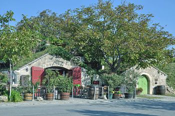 Kellergasse in Purbach am Neusiedler See
