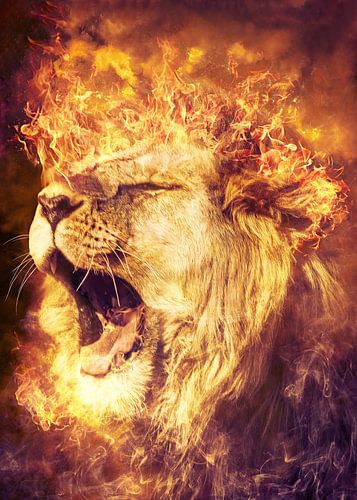 Brullende mannelijke leeuw