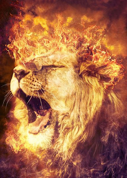 Roaring Male Lion by Septif