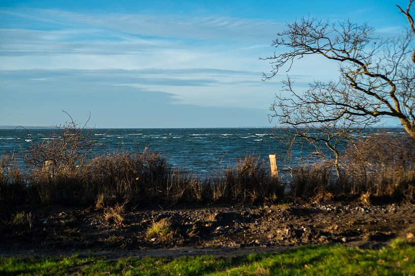 View of the waves and the water of the sea by Matthias Korn
