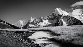 Zwart-wit fotografie met landschap