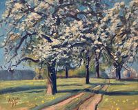 Spring in the cherry orchard