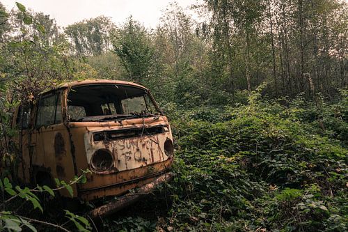 Viva Volkswagen