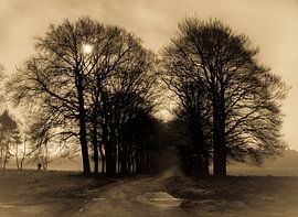 Een mistige ochtend op Planken Wambuis van Gerard Bos