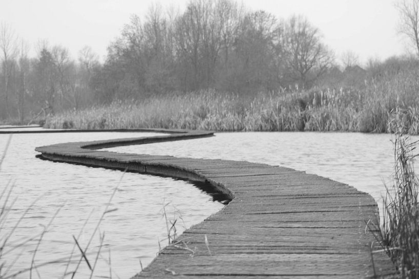 Waterpad by Yves Flawinne