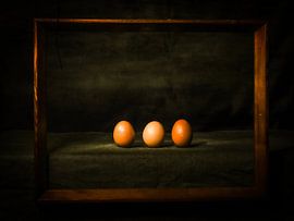 Des oeufs von Tessa Poll