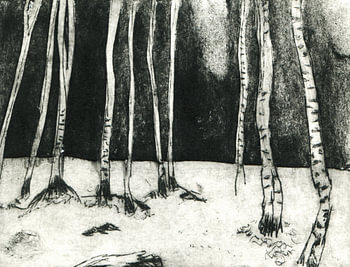 Forêt de bouleaux