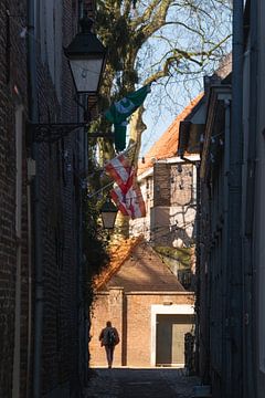 Rayons de soleil sur l'Uilenburg 's-Hertogenbosch sur Frederike Heuvel