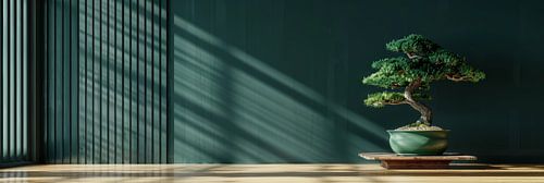 Bonsai boom als panorama stilleven