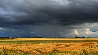 Wide land - Sweden
