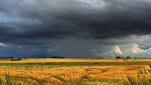 Weites Land - Schweden