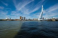 Erasmusbrug Rotterdam van Brian Morgan thumbnail