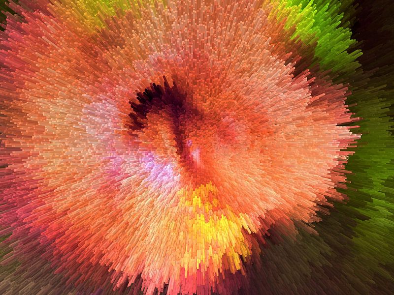 Hibiscus 2 par Ineke de Rijk