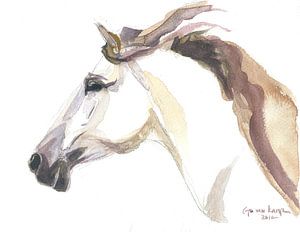 Cheval Julia