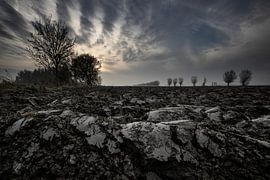 Argile de Zeeland-Flemish sur Niek Goossen