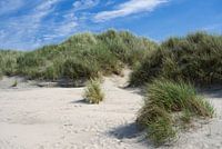 Duinlandschap op Baltrum