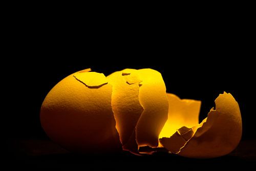 Lost places or - a chicken´s tale