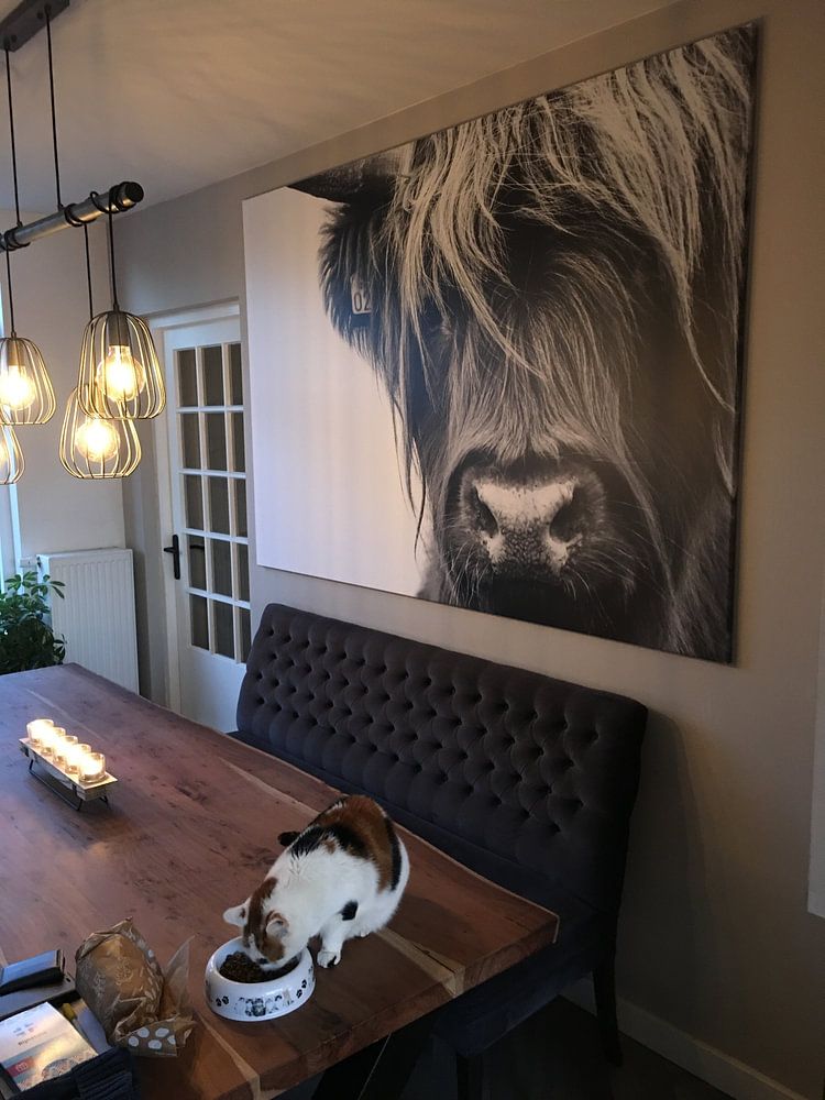 Portret Schotse Hooglander zwart-wit van Sandra van Kampen