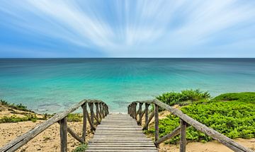 The path to relaxation by Frank Kremer