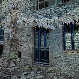 oud huis in dinan met typisch franse blauw geschilderde deuren en wisteria sinensis bloemen op de gevel van ChrisWillemsen