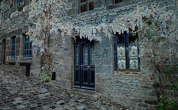 oud huis in dinan met typisch franse blauw geschilderde deuren en wisteria sinensis bloemen op de gevel