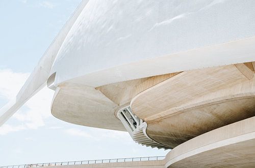 Minimalist architecture in Valencia – City of Arts and Sciences
