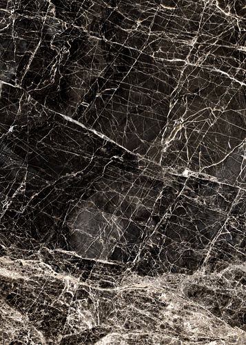 ABSTRACT BLACK & WHITE v2