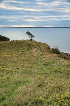 Klippe am Kattegat in Dänemark. Meer und Wolken von Martin Köbsch