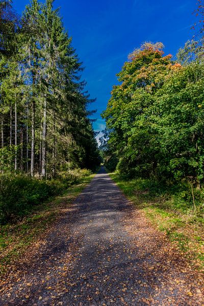Unterwegs im Nationalpark Rhön von Oliver Hlavaty