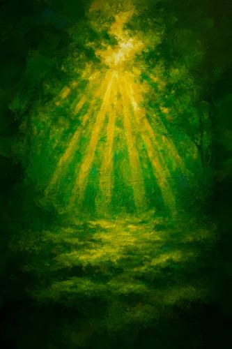 De zon breekt door een zomers bos