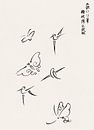 Japanse kunst. Vintage ukiyo-e houtsnede van Tagauchi Tomoki Vlinders en vogels 2 van Dina Dankers thumbnail