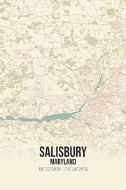 Vintage map of Salisbury (Maryland), USA. by Prints of Place