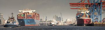 Hafenpanorama von Hamburg mit Containerschiffen und Sehenswürdigkeiten von Jonas Weinitschke
