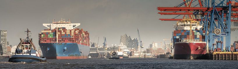 Containerfrachter im Hamburger Hafen mit Elbphilharmonie von Jonas Weinitschke