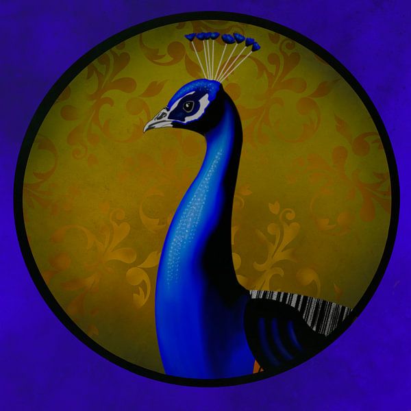 The Royal Peacock by Felicia Lyin