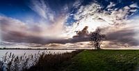 Hurkende Man Lelystad
