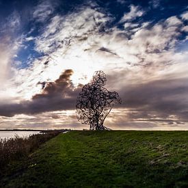 Hurkende Man Lelystad von David Douwstra