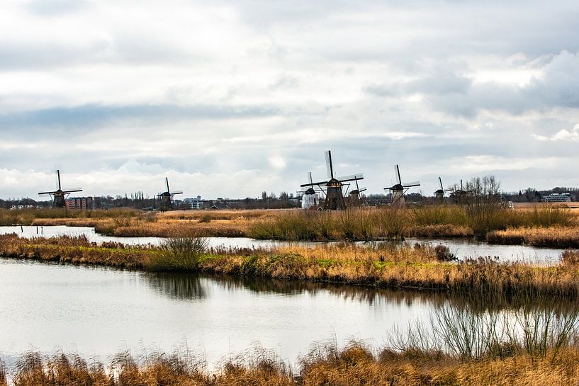 Kinderdijk by Brian Morgan