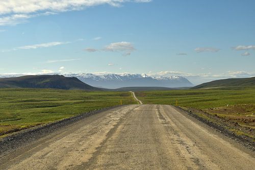 On the road in sunny Iceland