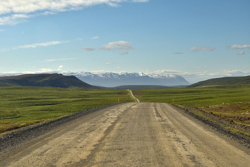 Onderweg in zonnig IJsland van Renzo de Jonge