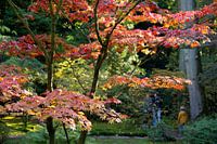 Japanse tuin