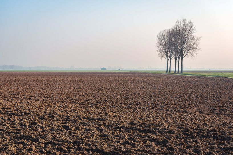 Pas bewerkte akker met vijf kale bomen op de achtergrond van Ruud Morijn